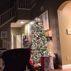 Meet your Posher, William